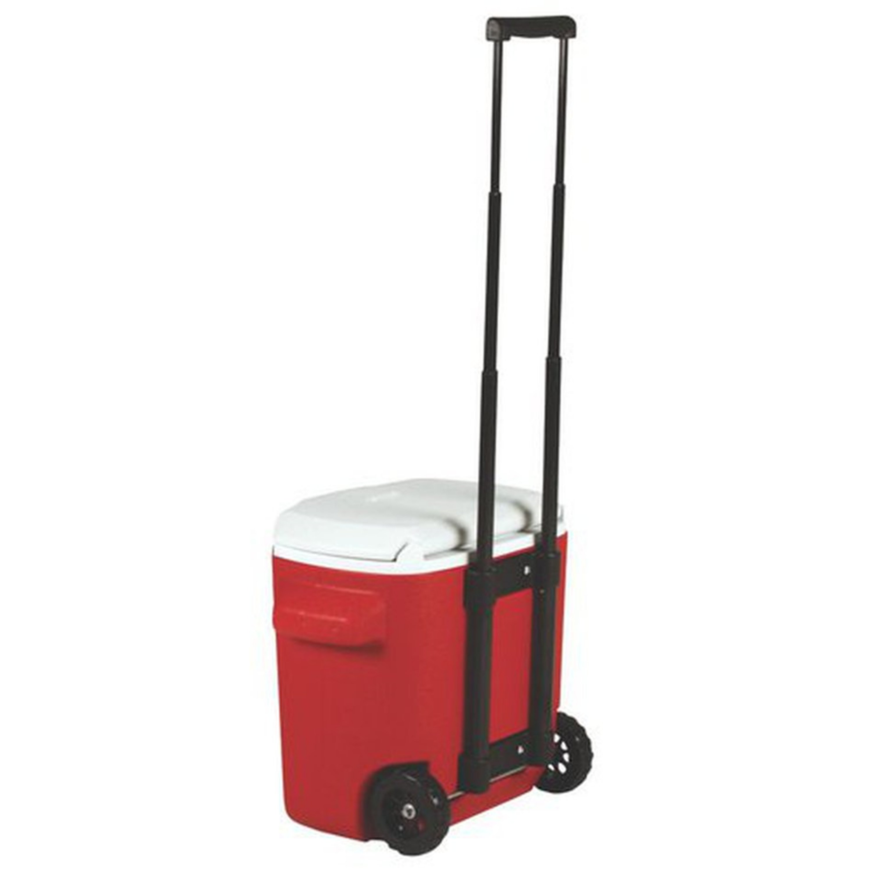 Caixa Térmica 15,1 Litros Vermelha Com Rodas e Termômetro Máxima e Minima | PYROMED® - Imagem 6